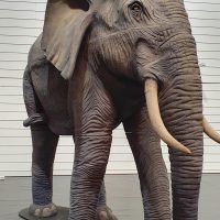 Großtiere aus einer Produktion des Staatsschauspiels Dresden (Nashorn, Elefant, Giraffe, Zebra, Strauß)